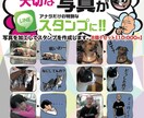 ペットを飼われてる方にオススメします 写真をイラスト化したLINEスタンプです！ イメージ1