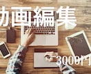動画編集承ります 動画編集に時間が足りない方、お手伝いさせてください!! イメージ1