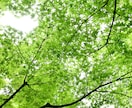 あなたのお悩みお伺いします あなたが持つ沢山の素敵な個性を再発見しましょう イメージ1