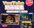 YouTube動画のカットとテロップ編集をします トークもバラエティもビジネスも、テロップの型を選べる イメージ2
