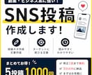 SNS投稿作成します フォロワーに刺さる投稿を作成します イメージ1