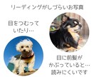 ペットロスのお悩みやペットちゃんのお話を聞きます 行き場のない悲しみや苦しみを私と一緒に癒していきませんか？ イメージ3