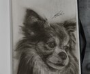 写真を“作品”に昇華する鉛筆アートを制作しますます 大切な存在を、一生残るアートに。 イメージ8