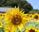 なんでも話し相手になります 元保育士があなたの愚痴聞きます♪ イメージ2