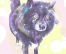 ペットや動物♡手描き感あるデジタルイラスト描きます かわいいペットの似顔絵やお好きな動物を絵にします。 イメージ2