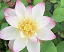 これからの介護への不安を軽減します 介護予備軍のご家族様、考えこんでしまう前に連絡して下さい。 イメージ7