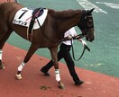 競馬予想ます 日曜日の重賞レースを予想します！！ イメージ1