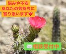 日々の悩みや不安に2日間✉️相談で寄り添います (仕事・家庭・恋愛・不妊・出産・育児・保活など) イメージ1
