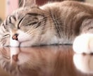 貴方の心配や不安を軽くするお手伝いをします 自分を知らない誰かに聞いて欲しい。貴方の気持ちに寄り添います イメージ1