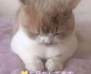 メッセージ相手☆愚痴☆悩み事 ♡お待ちします 貴方の ♡心の 声 ♡ お待ちしています☆気兼ねく連絡 イメージ1