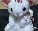 ぬいぐるみ作製いたします 可愛いぬいぐるみご依頼後制作いたします イメージ8