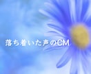 元報道キャスターがナレーションをお届けします /テレビCMの実績/企業VP多数/クセのない聞きやすい読みを イメージ16