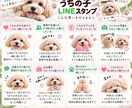 ペットの写真からうちの子LINEスタンプを作ります 大切なうちの子を世界にひとつのLINEスタンプに♡ イメージ5