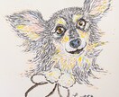 暮らしに飾れるオイルパステル原画を制作します 大切なうちの子を、やさしいタッチの原画で残します。 イメージ7