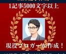 SEO記事を格安で作成します １0記事【１記事：5000文字以上】をプロが執筆 イメージ1