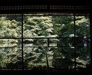 波動調整　神社・聖地での参拝や禊を実際に行います もし場所の指定がありましたら、ご希望承ります。 イメージ3