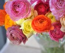 あなたをプロファイリングし、あなたが忘れていたあなたを見つけ出します。 イメージ1