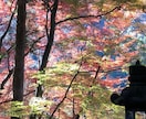 40〜60代の女性の方、お話しを傾聴いたします 中高年だって悩みがいっぱい！1分だけでもOK、話して発散⭐︎ イメージ8