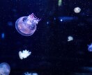 憂鬱な朝に寄り添います 朝が1番しんどいよね。私と話してみませんか？ イメージ1