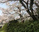 話相手になります 誰かに聞いて欲しい話や愚痴を聞きます イメージ1