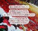 初めましてのあなたとお電話します 最初は誰でも、初めましてから☕♪ イメージ3