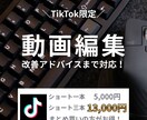 TikTokの動画作成から運用まで一緒に考えます 動画作成＋運用の悩み相談＆アドバイスまで対応！ イメージ1