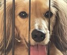 どんな相談でも対応します 日常の愚痴聞き、気軽に相談乗ります♪ イメージ1