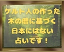 生まれたお日にちであなたの「トリセツ」作ります 日本ではまだ馴染みのない誕生木占い◇ひとつ試してみませんか？ イメージ2