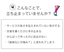 訴求力重視のLPをWordPressで作成します 女性向けからBtoBまで、幅広く対応可能 イメージ2
