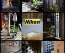 ニコンカメラのカスタムピクチャーコントロールます カメラに導入し、より美しい写真を撮影しましょう。 イメージ3