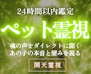 高次元開天霊視｜あなたの大事な家族の想いを視ます あの子が伝えたい言葉、伝えられなかった思いを鮮明に捉えます イメージ1