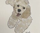 思い出のペットの写真を似顔絵ポストカードにします 皆さんの家族の思い出の写真をイラストにしませんか？ イメージ3