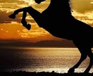 競馬予想お届けします 普段負けている競馬から、勝てる競馬へ！競馬予想屋！ イメージ1