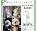 おしゃれで魅力伝わるSNS画像を丁寧に作ります 女性目線で柔らかく伝わるデザインを作成いたします イメージ4