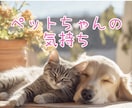ペットさんの本音◆気持ちとメッセージを鑑定します 虹の橋の子も対応◆どう思っているのかメッセージお伝えします イメージ1