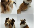 羊毛フェルトで作るリアルな犬の制作方法になります 愛犬さんを羊毛フェルトで作ってみませんか？ イメージ4