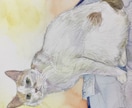 手描き！ペット・動物の肖像を水彩画で描きます 水彩でペットや動物の写真を元に水彩紙に透明水彩で着彩。 イメージ7