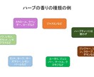 貴方の好み・気分・体調に合うお茶紹介します ハーブティー、紅茶、薬膳茶、健康茶から紹介します イメージ4