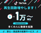 TikTokの再生回数を1万再生増やします ⭐️期間限定特別価格⭐️1万再生増加⭐️高品質 イメージ1