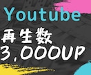 Youtube動画の再生数を3,000増やします Youtubeの早期収益化に！確実に再生数が増加するサービス イメージ1