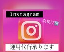 初心者Instagramの運用代行します インスタ運用代行、即レス対応可フィード投稿、DM返信対応 イメージ1