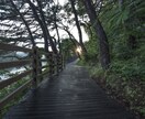 両思い諦めたくない方に・縁結びヒーリング します 無条件の愛のエネルギーで願いを届けます イメージ7