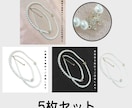 装身具・古美術品・マクロ写真・高精細写実補正します オークション出品向け写実性重視高精細修正（5枚） イメージ3