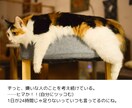 あなたのお話、何でもとことんお聞きします 疲れた時、つらい時、誰かと話したい時、気軽にお越しください✽ イメージ5