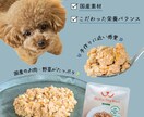 バナーデザイン 制作いたします 売上UP、成果重視のデザインバナー制作 イメージ4