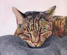 ペット似顔絵描きます 大切なペットを色鮮やかに世界に一つだけのアートを描きます！ イメージ3