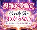 複雑恋愛｜誰にも言えない彼の本当の気持ちを視ます 会えない・連絡が不安定・曖昧な恋…彼の本音を深く読み解きます イメージ1