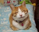 ペットの名前で悩んでる方、私がネーミング致します。 イメージ2