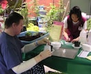 オンラインで園芸療法士に！認定園芸療法士が教えます 植物で人を癒す園芸療法を1回90分、5回で！修了証発行します イメージ1