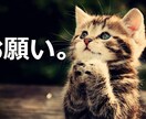 貴方の相談全般を請け負います 内容をまとめてから、気軽に相談してください イメージ1